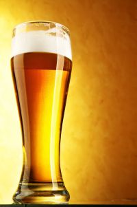 수제맥주실무(주말 토)
